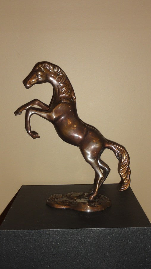 Reaning Mustang, Bronze