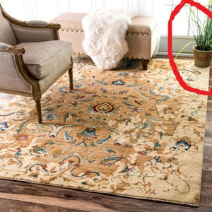 FLOWER POT ON HANDMADE RUGS?