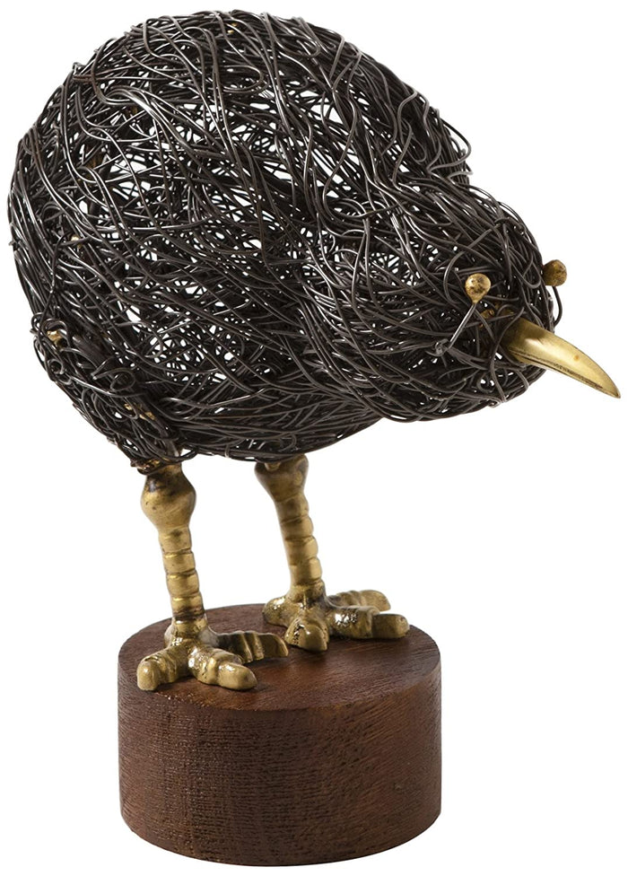 Small Kiwi Bird